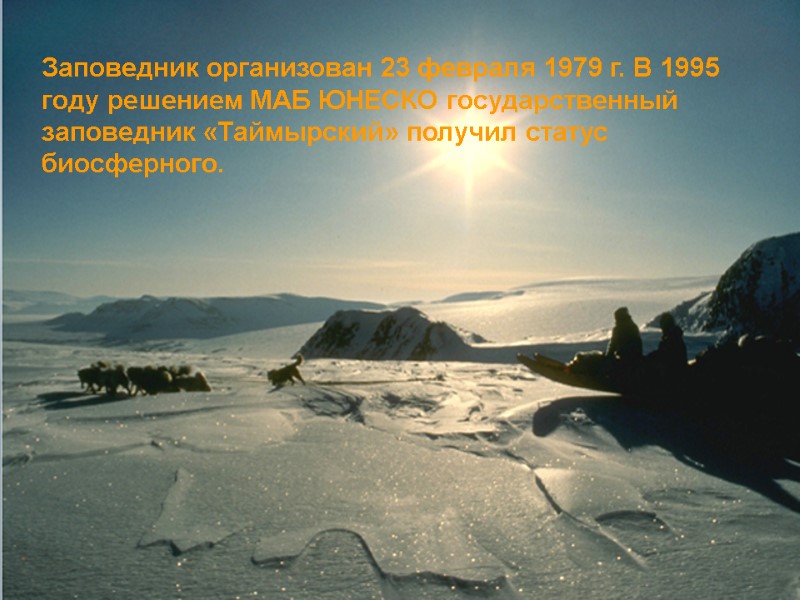 Заповедник организован 23 февраля 1979 г. В 1995 году решением МАБ ЮНЕСКО государственный заповедник